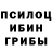 Галлюциногенные грибы Magic Shrooms Naumov Aleksey