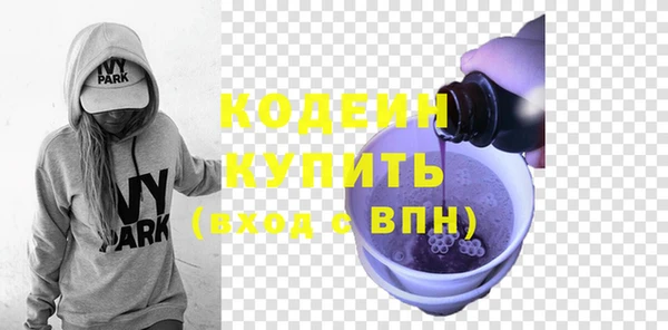 прущие грибы Медногорск
