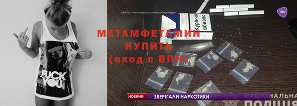 прущие грибы Медногорск