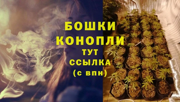 трава Медвежьегорск