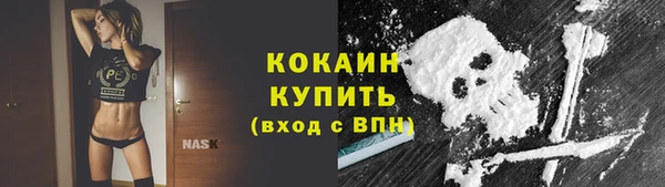 трава Медвежьегорск