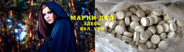 трава Медвежьегорск