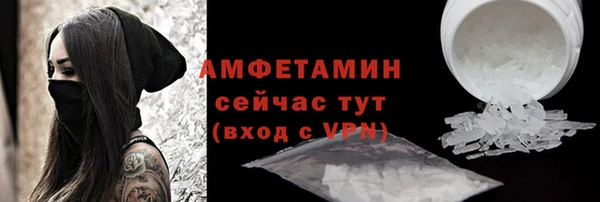 прущие грибы Медногорск
