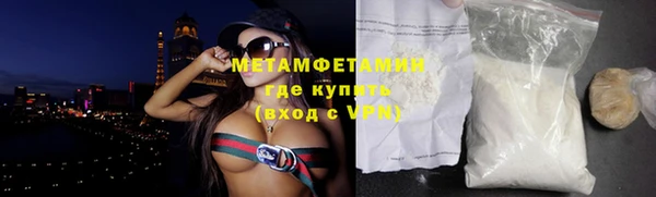 прущие грибы Медногорск