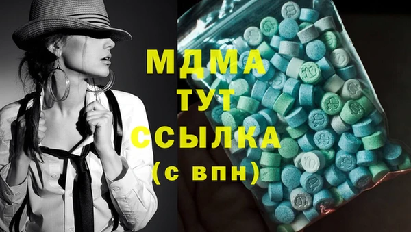 прущие грибы Медногорск