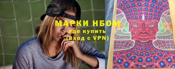 прущие грибы Медногорск