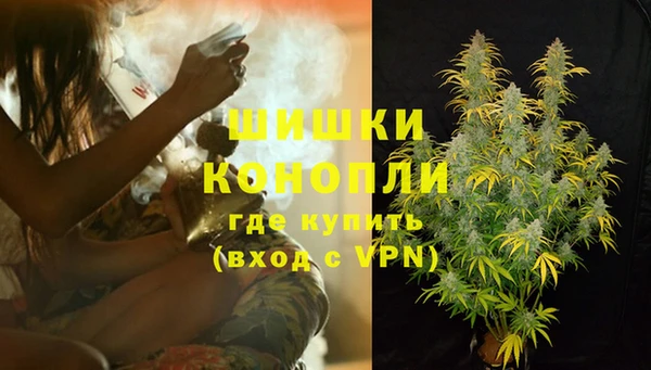 трава Медвежьегорск