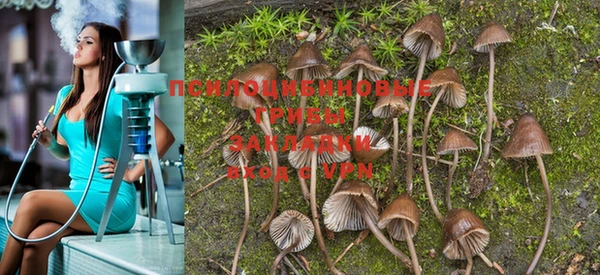 прущая мука Мегион