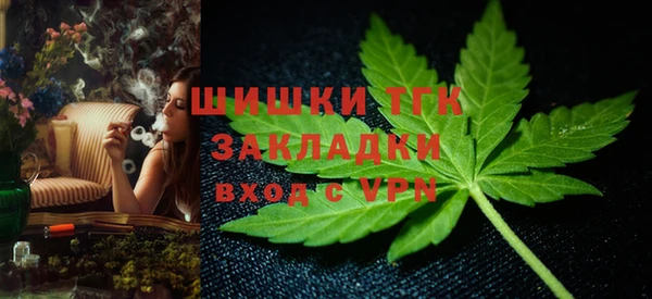 прущие грибы Медногорск