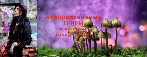 трава Медвежьегорск