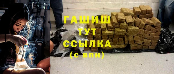 прущие грибы Медногорск