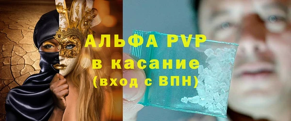 прущие грибы Медногорск