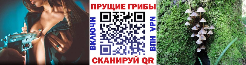 Купить  Новоалександровск  Псилоцибиновые грибы MAGIC MUSHROOMS 